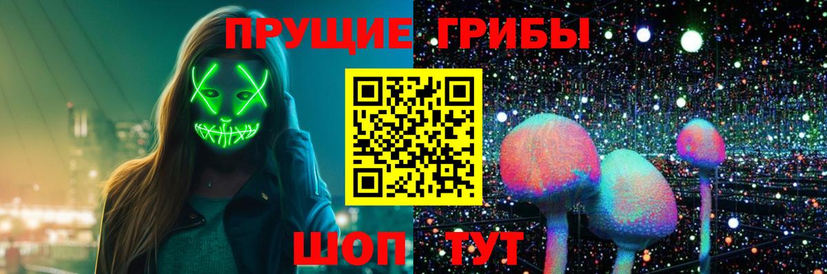 Галлюциногенные грибы Cubensis Усть-Джегута